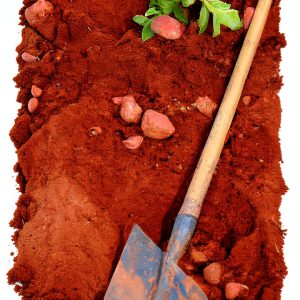 Homesteading Across America Gardening Guide Kindle by GreenThumb-0