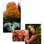 Midwest Region Gardening Handbook Purdue University Press Kindle-0