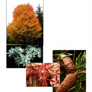 Midwest Region Gardening Handbook Purdue University Press Kindle-0